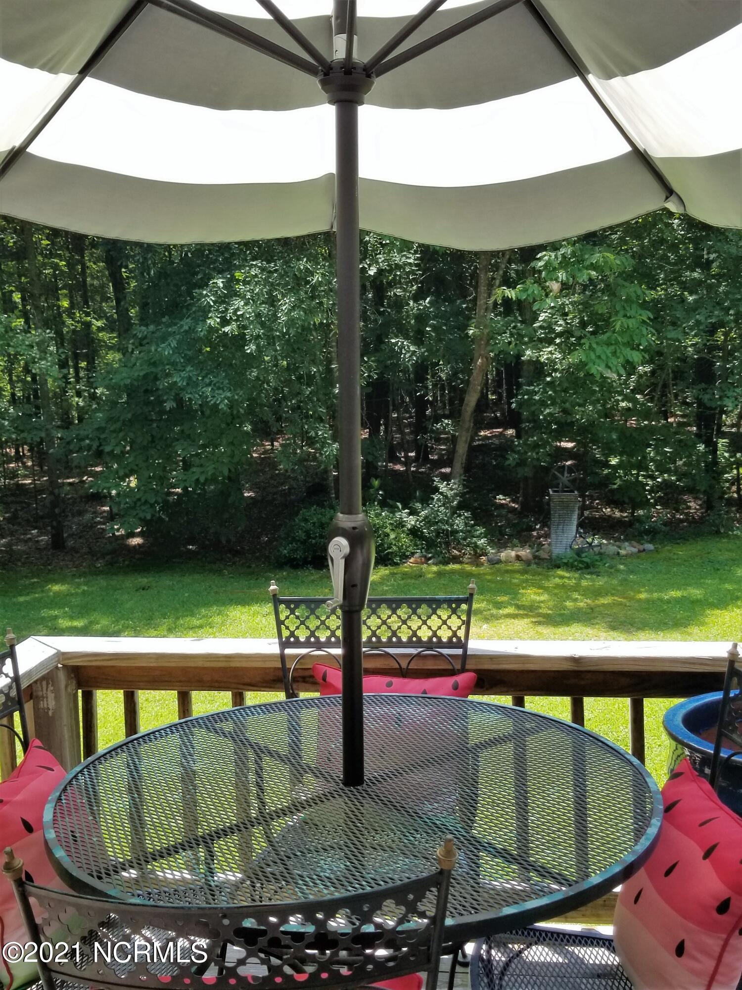 541 Indian Branch Road Rocky Mount, NC 27804 - Photo 23 of 42 Deck and beyond