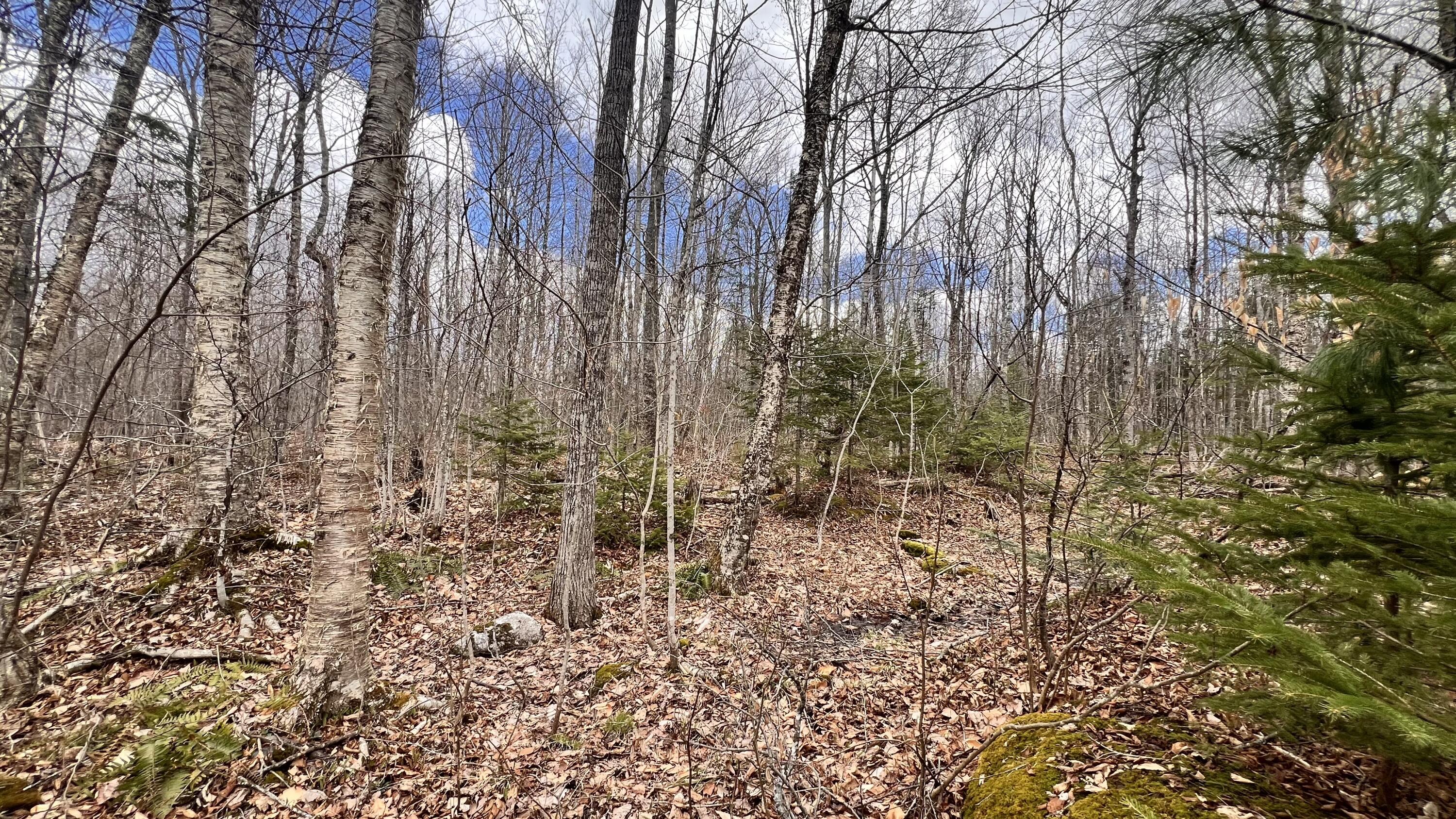 105 Hatch Hill Road Garland, ME 04939 - Photo 24 of 24 IMG_7664