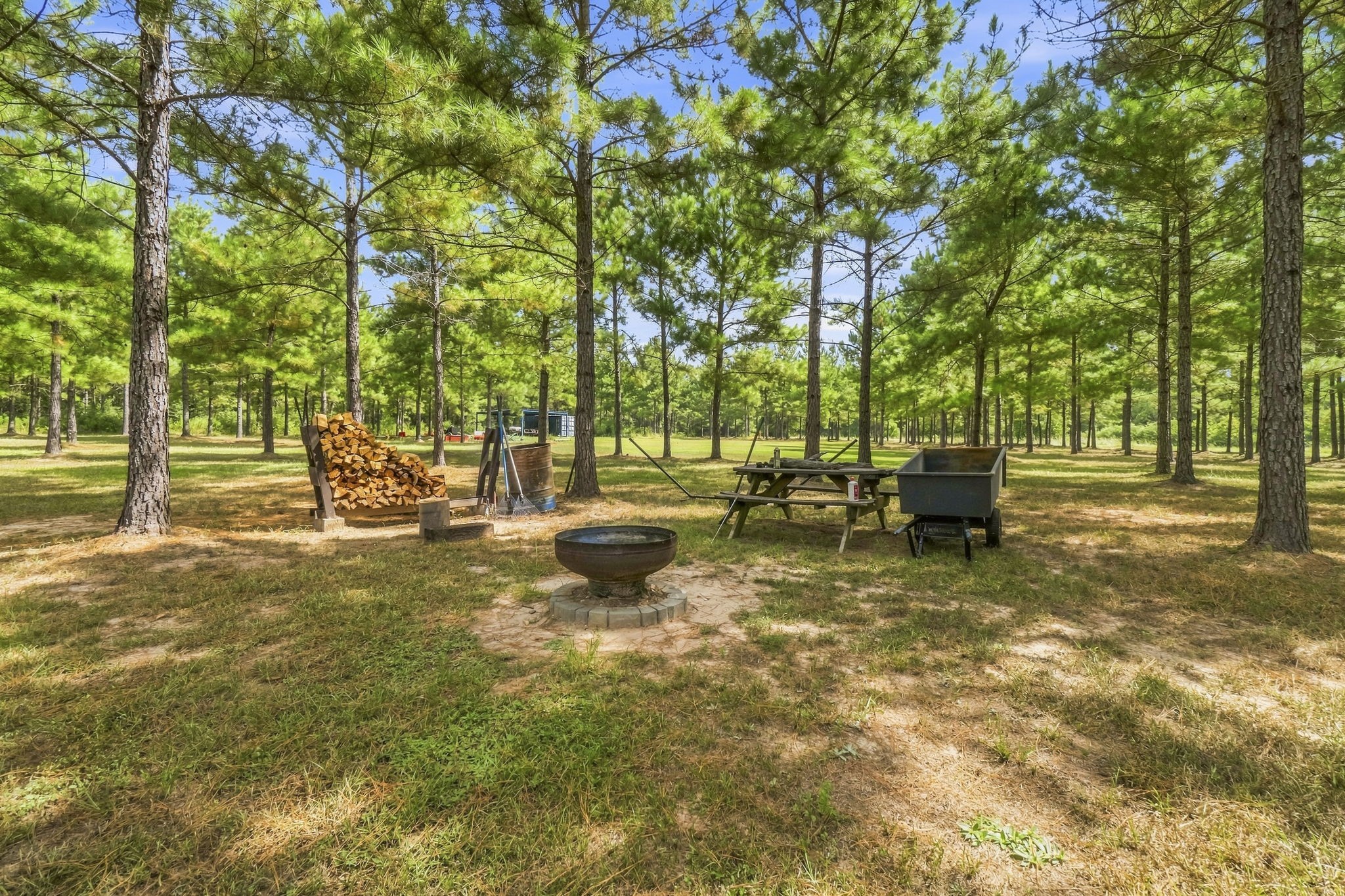 1383 Tram Road Livingston, TX 77351 - Photo 33 of 49 Enjoy a good fire on a cool night in the country