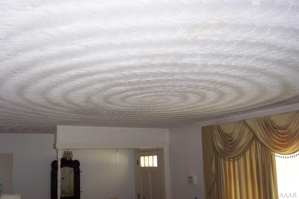 2422 Governors Road Windsor, NC 27983 - Photo 5 of 38 LIVINGROOM CEILING