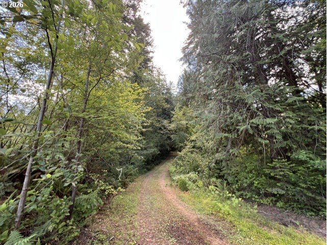 Fairdale Road Yamhill, OR 97148 - Photo 17 of 47 Gallery Image 17