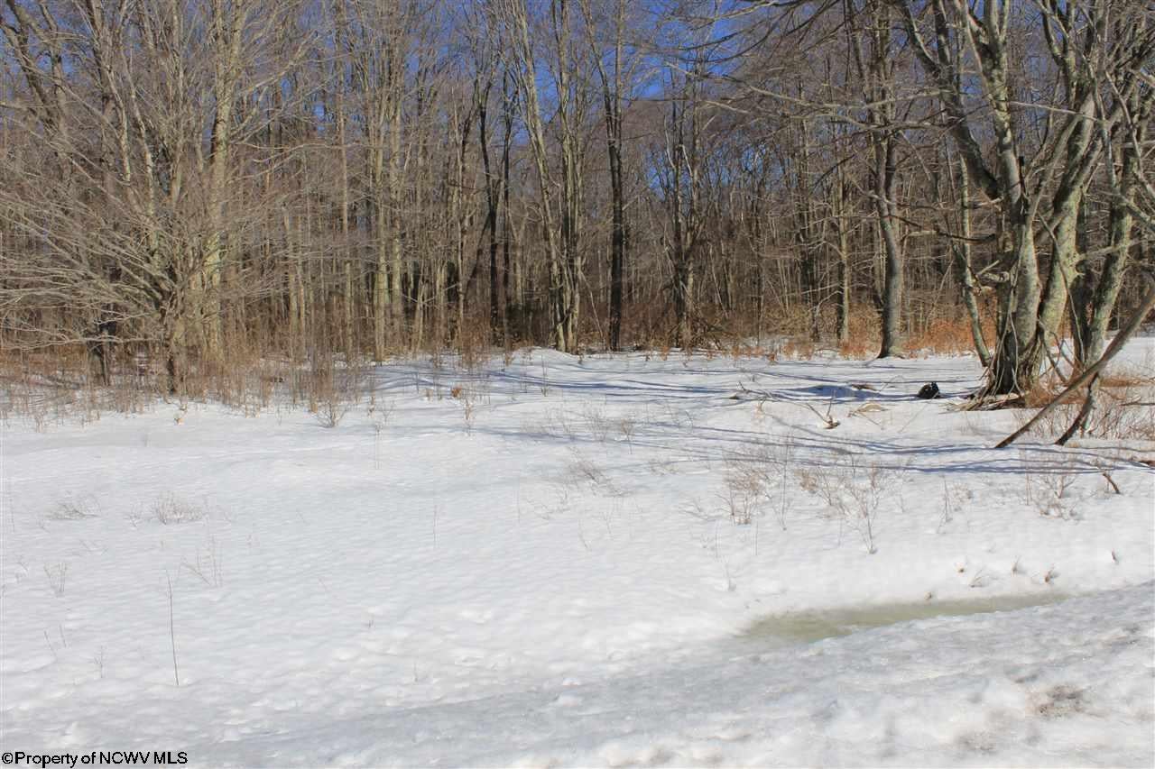 0 Maple Davis, WV 26260 - Photo 9 of 12 Gallery Image 9