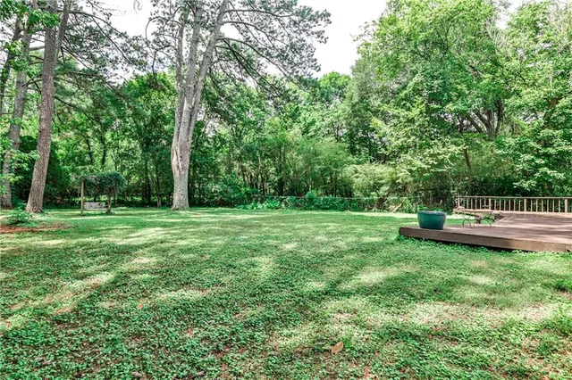 a view of a park with large trees