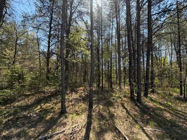 $55,000 | 1.52-acres 1.52-acres Queens, Necedah, WI 54646