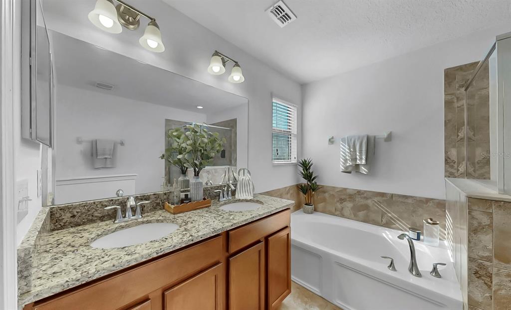 10012 Newminster Loop Ruskin, FL 33573 - Photo 30 of 59 a bathroom with a granite countertop tub sink and mirror