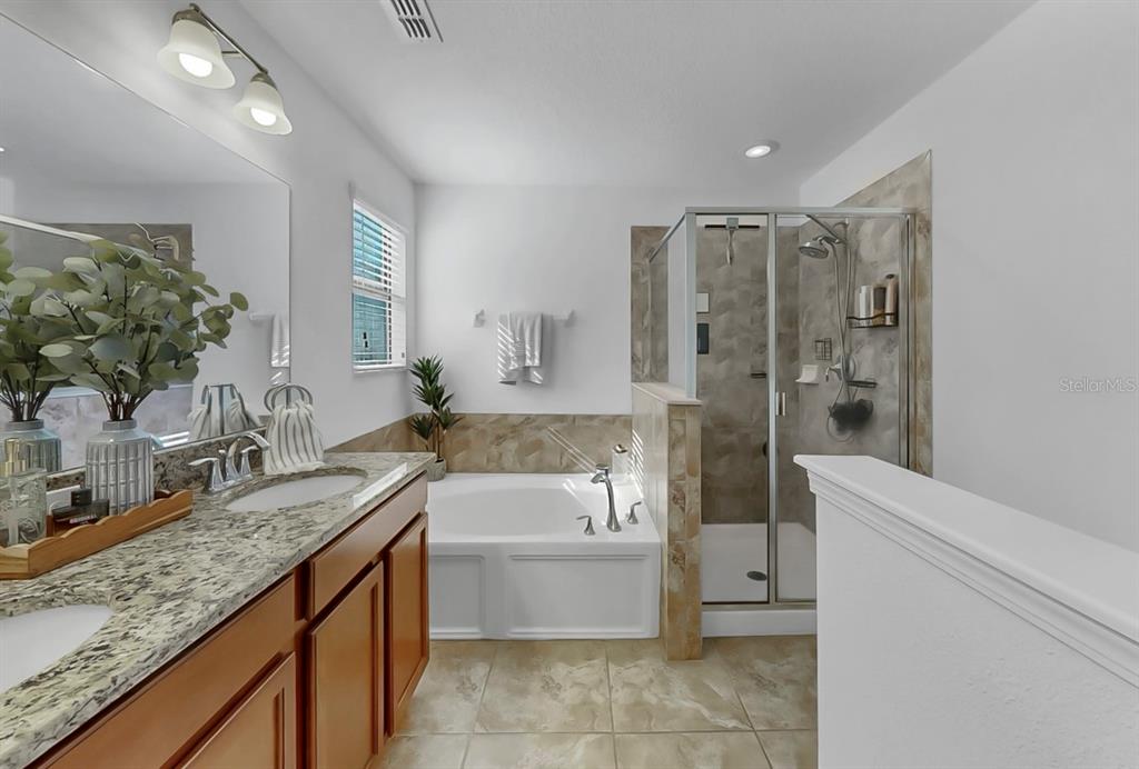 10012 Newminster Loop Ruskin, FL 33573 - Photo 31 of 59 a bathroom with a granite countertop bathtub sink vanity and mirror