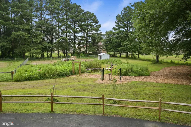 a view of a park with large trees