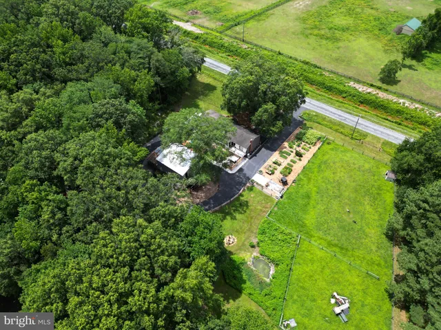 a view of yard with green space