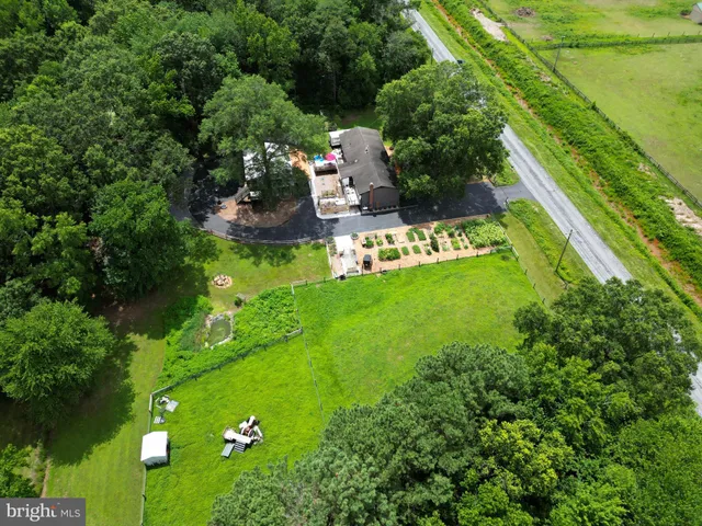 a view of flowers in bunch