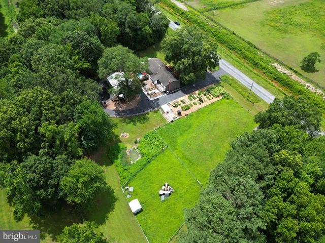 a view of a park with large trees
