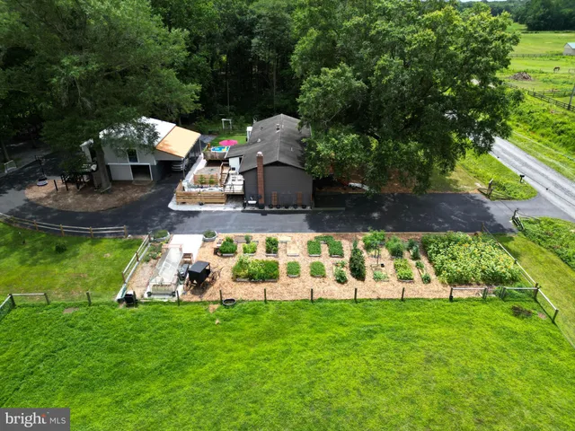 a view of a garden with a slide