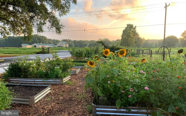 $599,999 | 844 Road 216, Camden Wyoming, DE 19934