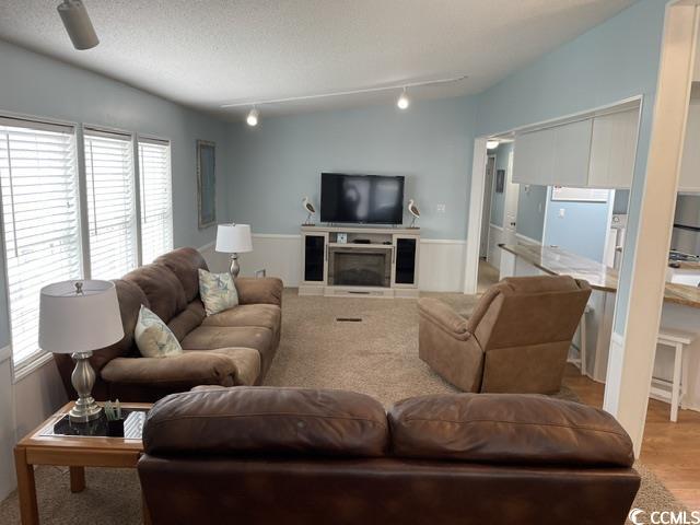 469 Sandpebble Surfside Beach, SC 29575 - Photo 10 of 39 Living room featuring plenty of natural light, track lighting, light wood-style floors, and a fireplace