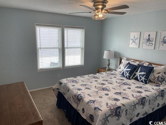 469 Sandpebble Surfside Beach, SC 29575 - Photo 24 of 39 Carpeted bedroom with multiple windows and ceiling fan