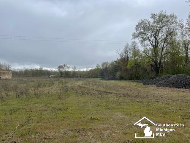 0 Ostrander Road Maybee, MI 48159 - Photo 2 of 6