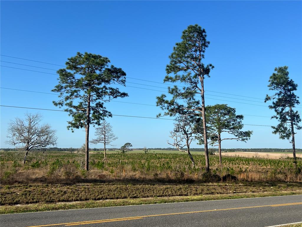 Levy Street Williston, FL 32696 - Photo 10 of 26