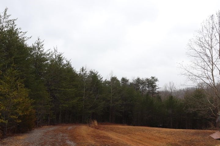 0 Hardin Cemetery Road Vonore, TN 37885 - Photo 11 of 11 Gallery Image 11