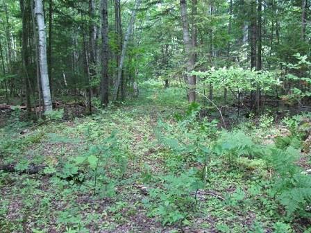 0 Stephens Road Oquossoc, ME 04964 - Photo 2 of 17 Photo