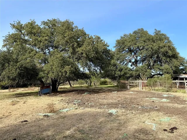 a view of a yard with a tree