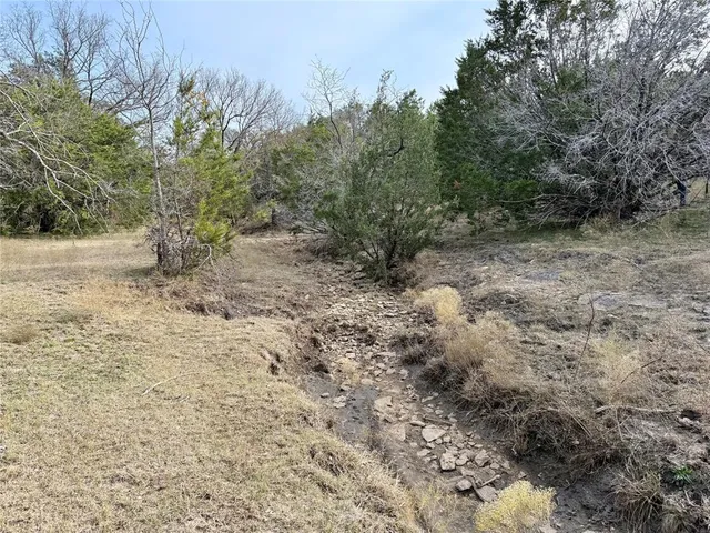 a view of a yard with a tree