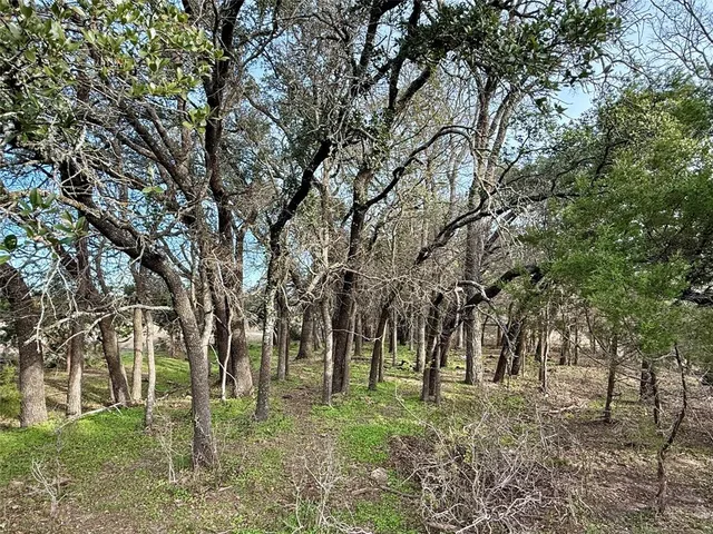 a view of outdoor space with trees