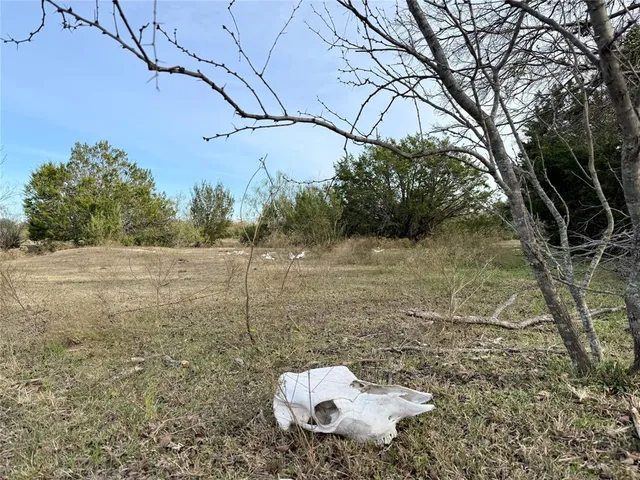 a view of a bench in a yard