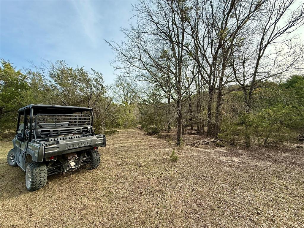 2315 County Road 208 Hico, TX 76457 - Photo 35 of 39 a view of a bench in a yard