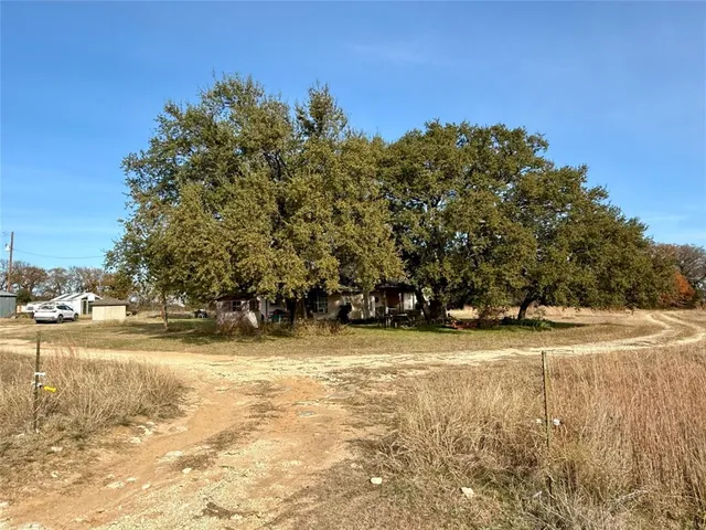 a view of a yard with an trees