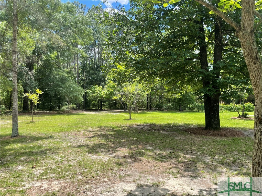 1284 Ardmore Oaky Road Springfield, GA 31329 - Photo 21 of 25