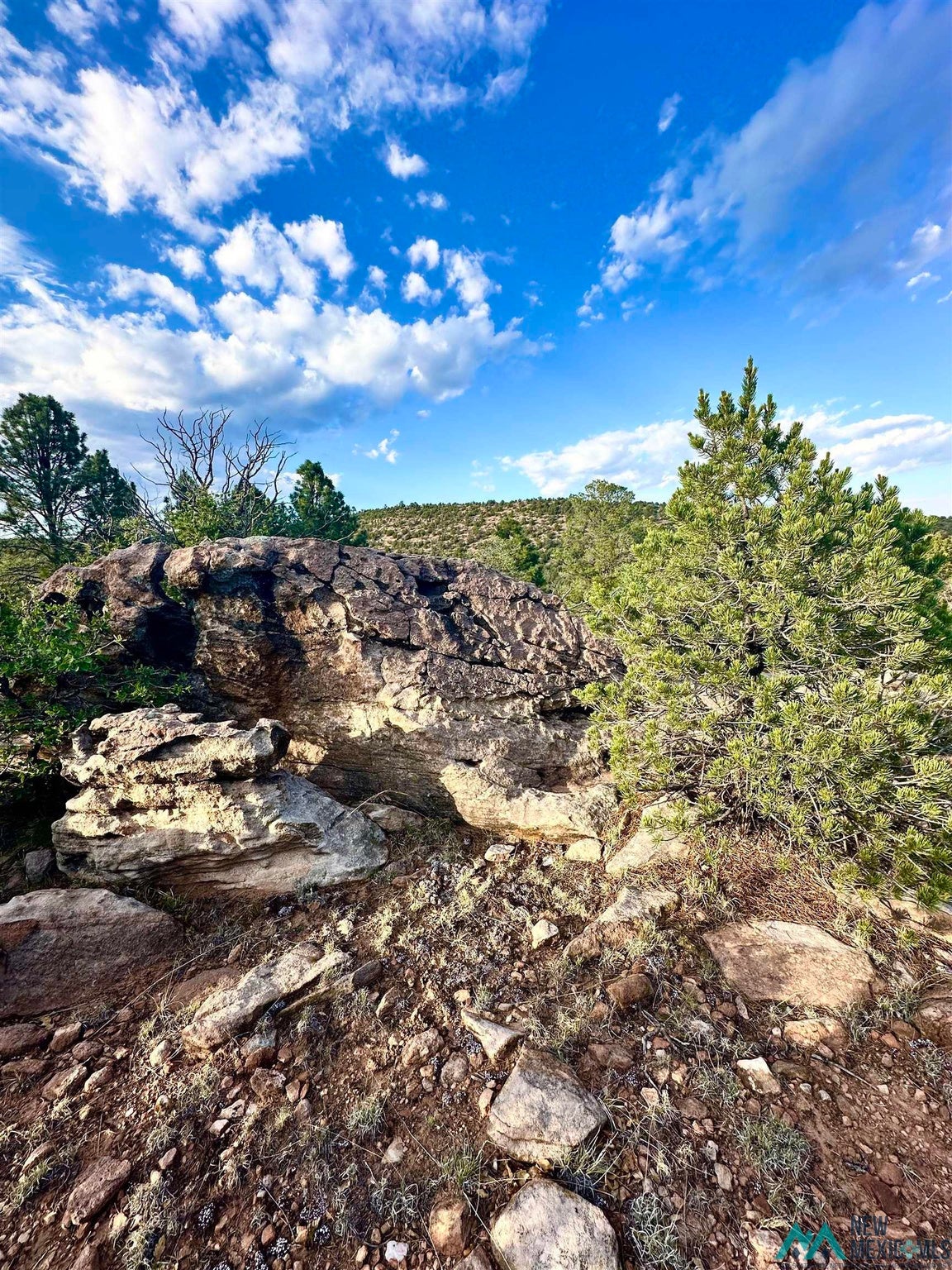 0 West Sena Ranch Road Serafina, NM 87569 - Photo 22 of 26 Gallery Image 22
