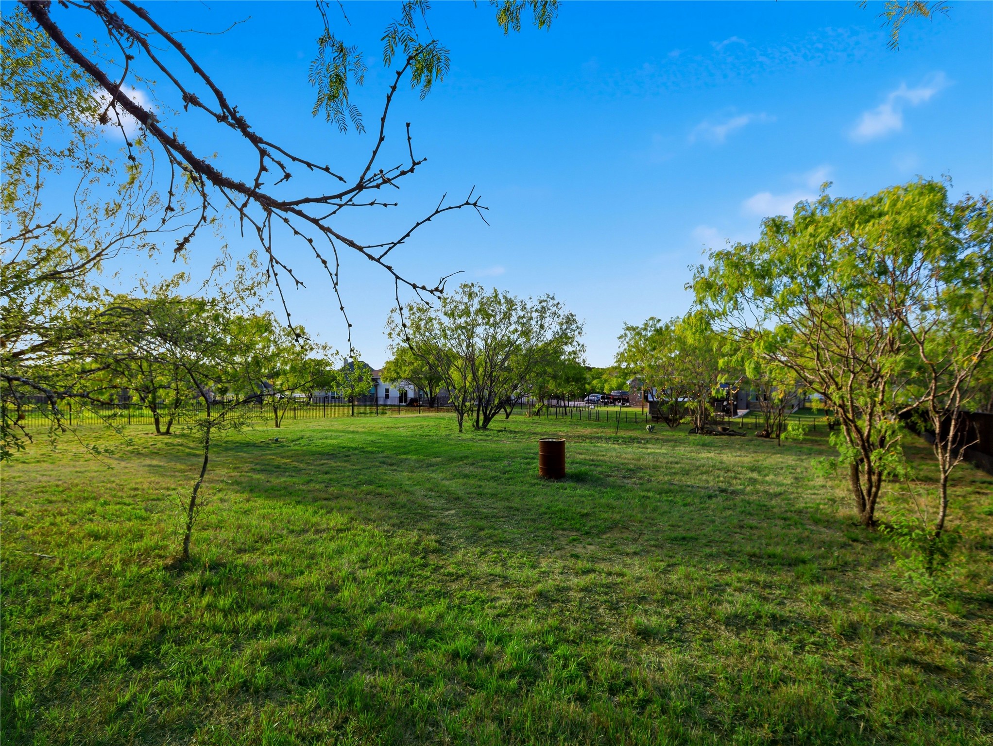 316 Raptor Beak Way Cedar Creek, TX 78612 - Photo 27 of 30 a backyard of a house with lots of green space