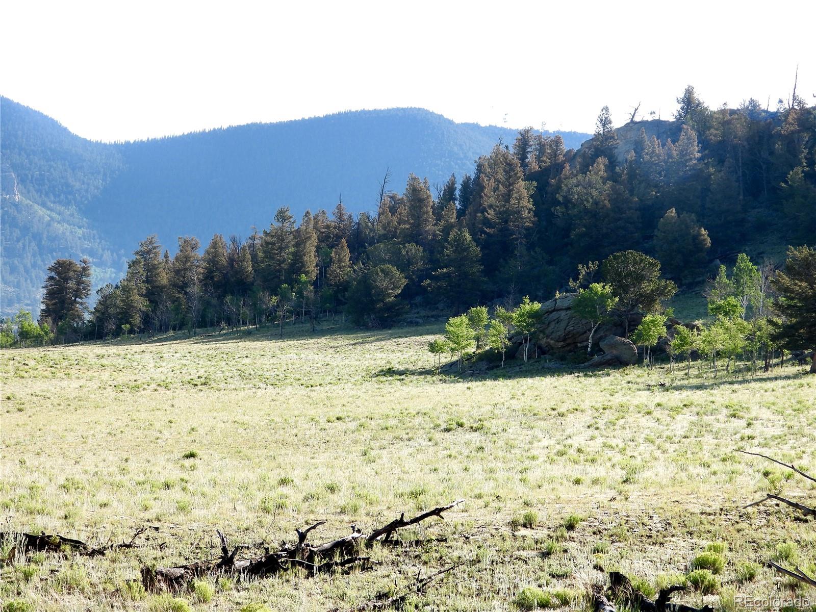 Puma Hills Road Lake George, CO 80827 - Photo 1 of 13 Gallery Image 1