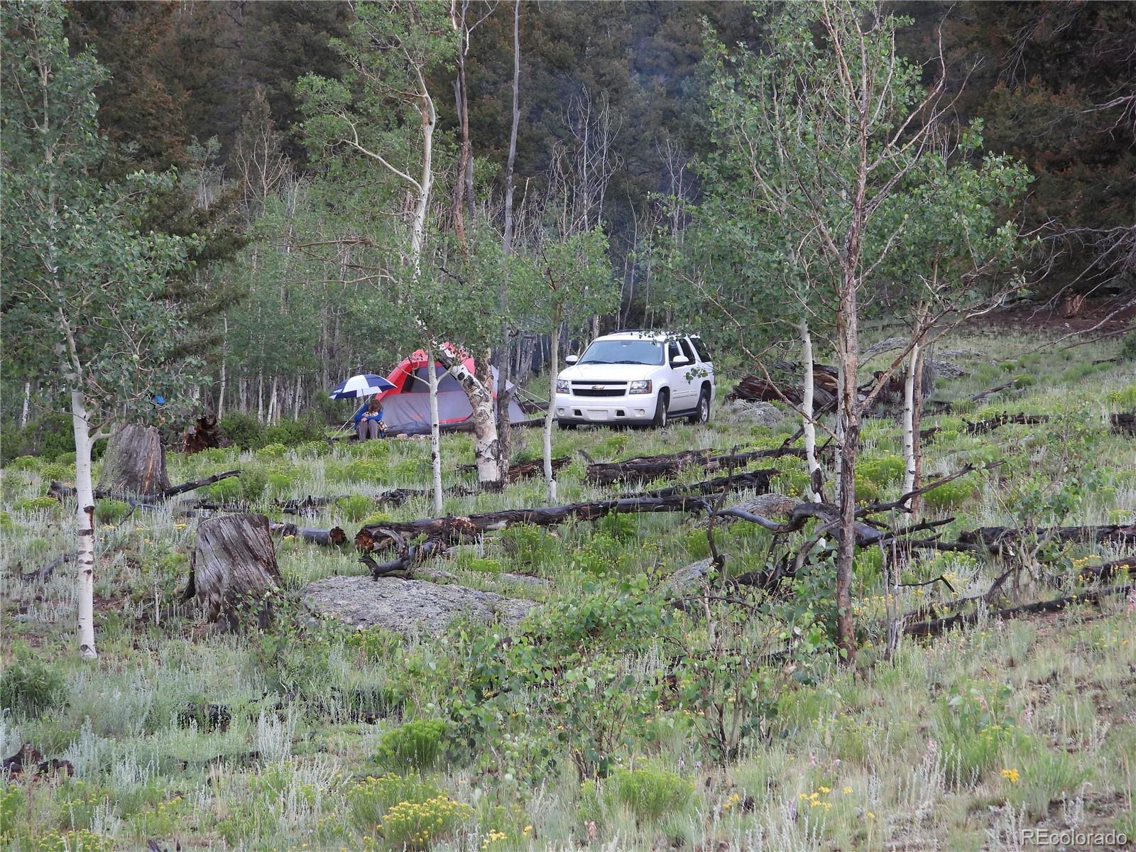 Puma Hills Road Lake George, CO 80827 - Photo 5 of 13 Gallery Image 5