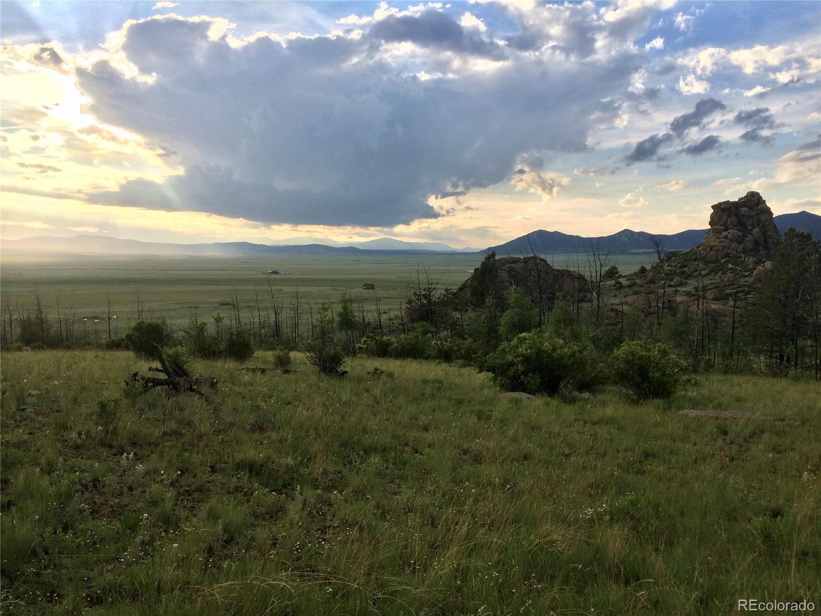 Puma Hills Road Lake George, CO 80827 - Photo 6 of 13 Gallery Image 6