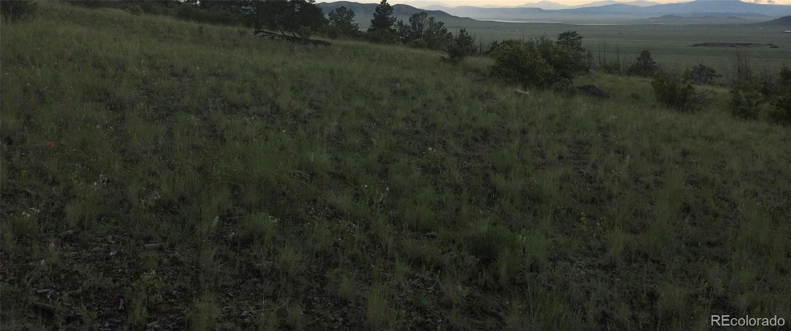 Puma Hills Road Lake George, CO 80827 - Photo 9 of 13 Gallery Image 9