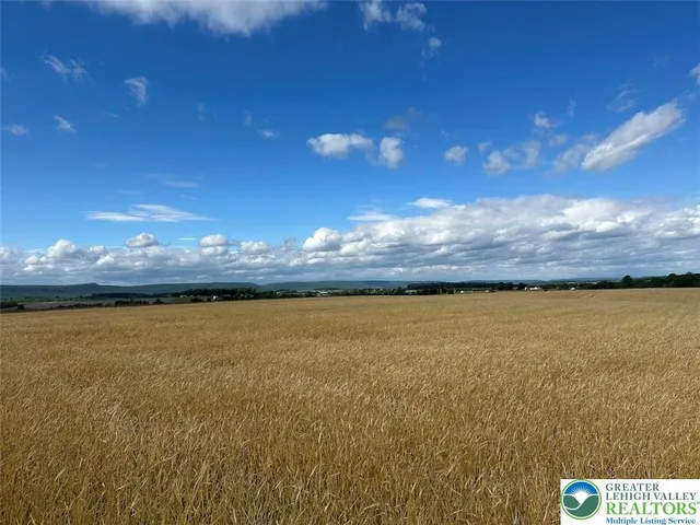 a view of an ocean from a yard