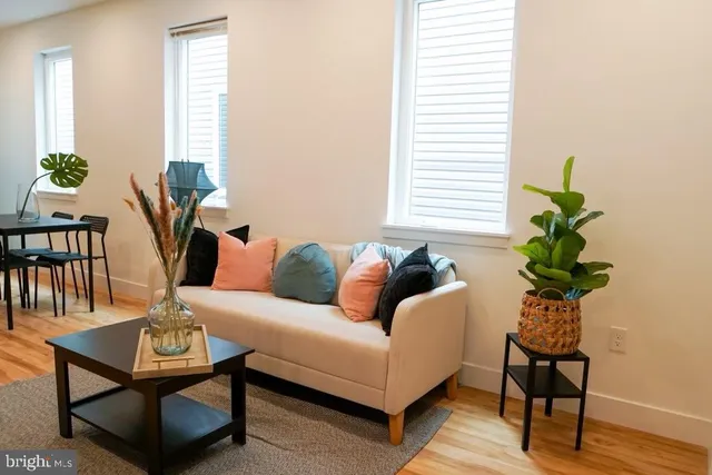 a living room with furniture and a potted plant
