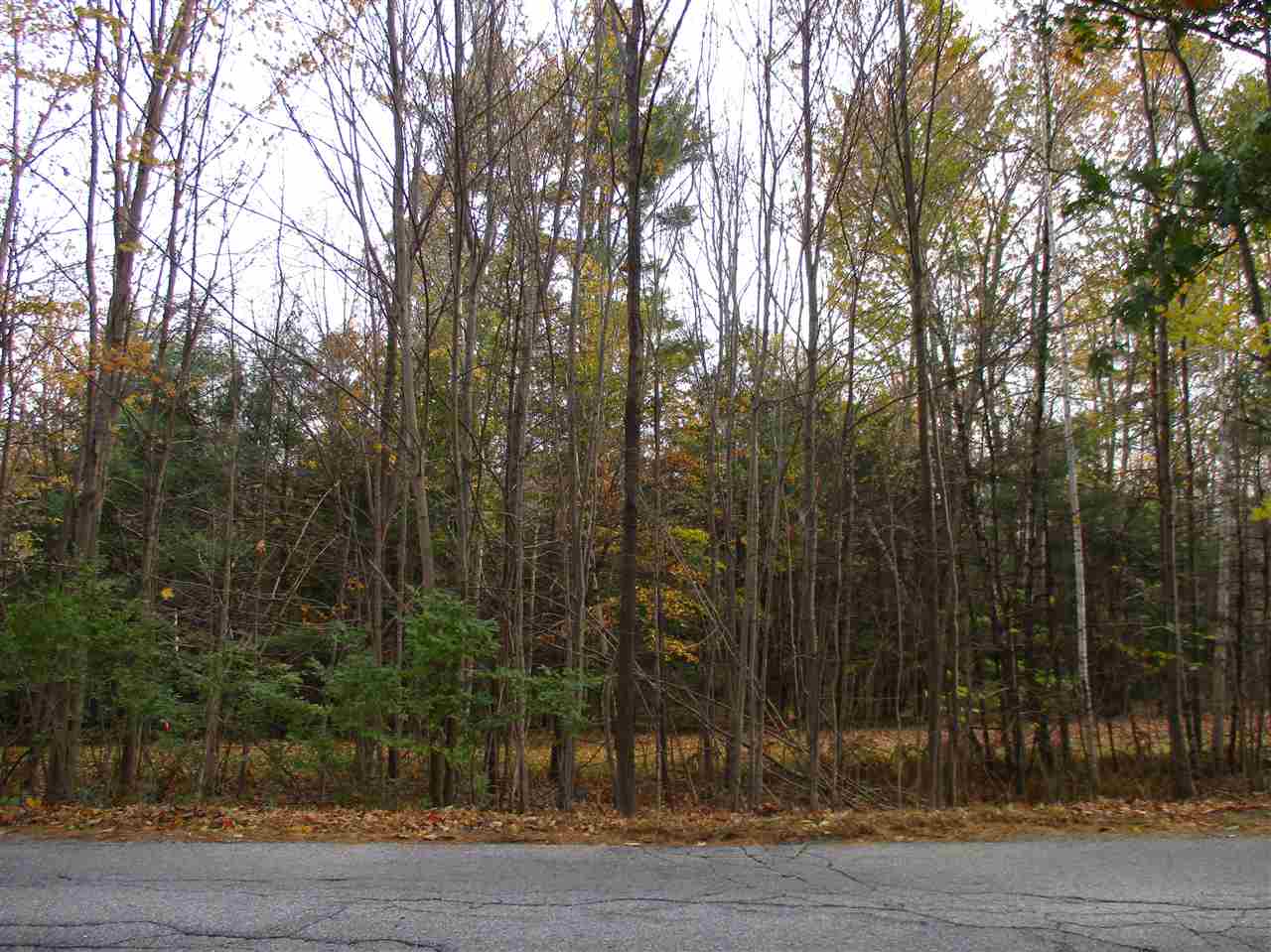 Lot 2-3 Governors Road Farmington, NH 03835 - Photo 1 of 5
