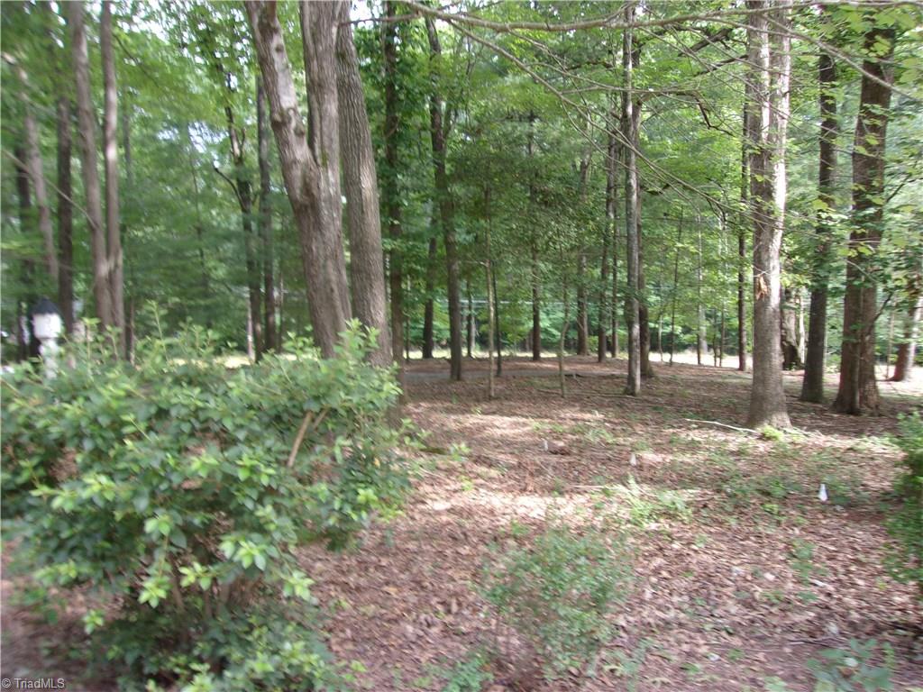 794 Skycrest Country Road Asheboro, NC 27205 - Photo 17 of 19 Gallery Image 17