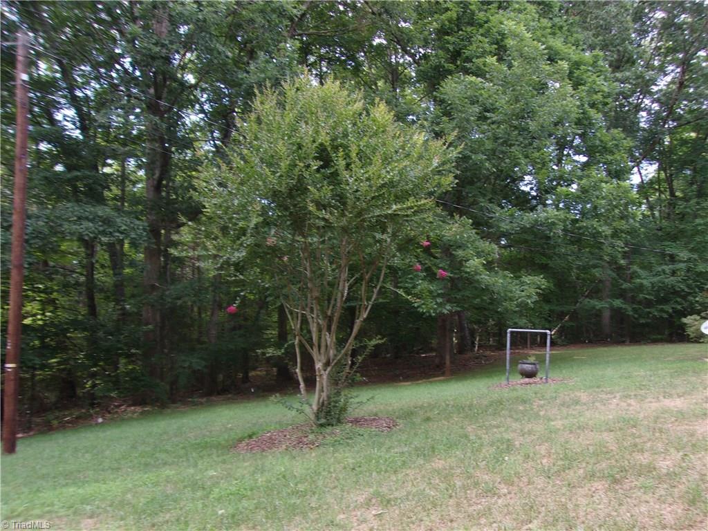 794 Skycrest Country Road Asheboro, NC 27205 - Photo 18 of 19 Gallery Image 18