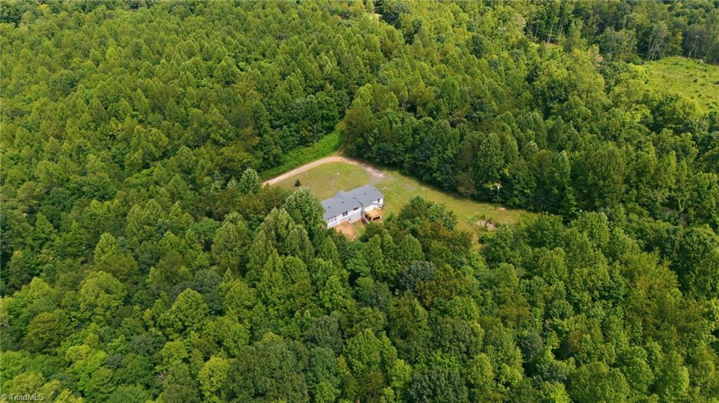 1200 Blue Ridge Lane Sandy Ridge, NC 27046 - Photo 41 of 44 Gallery Image 41