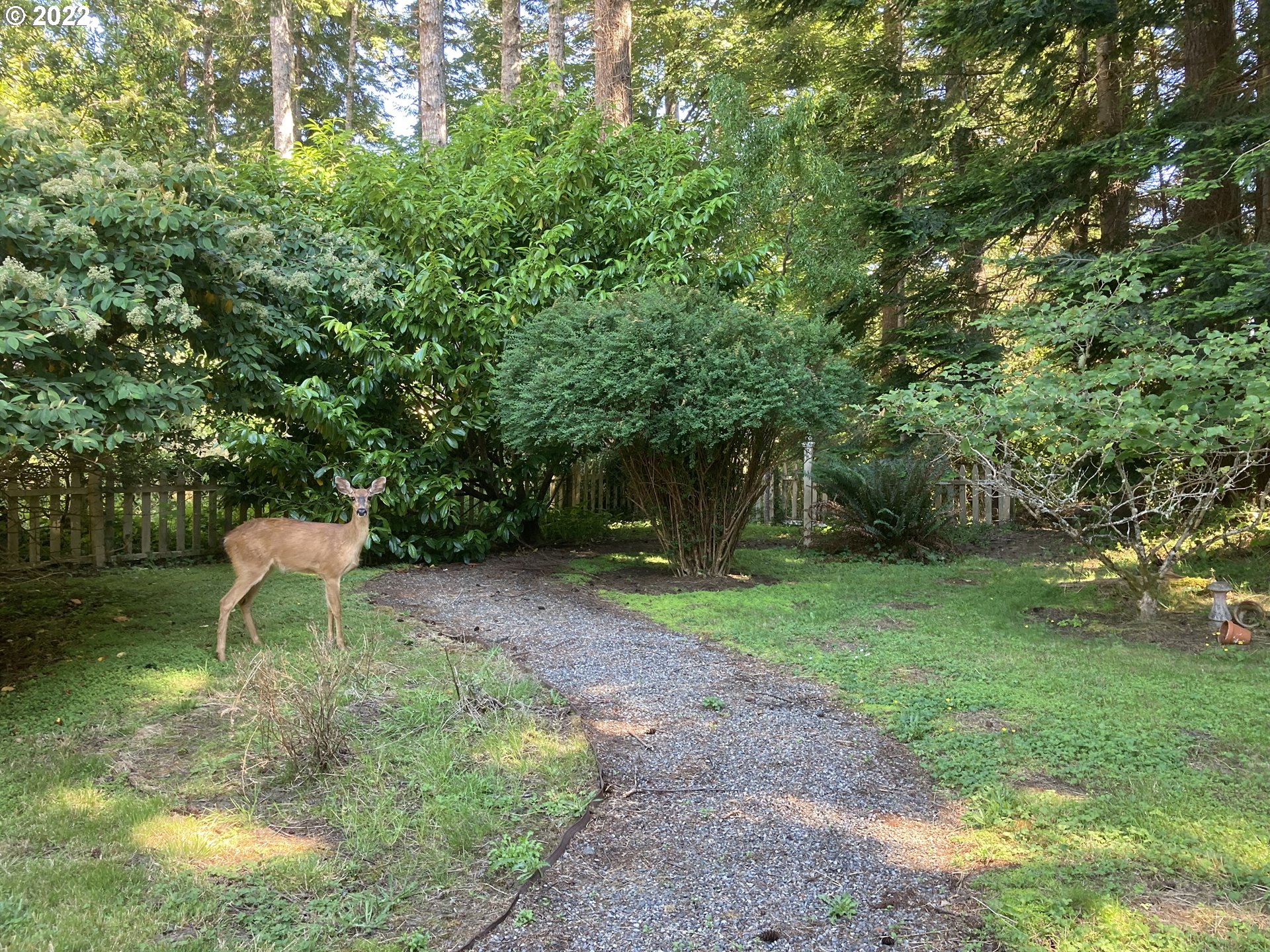 1665 Kristi Loop Lakeside, OR 97449 - Photo 30 of 31 Backyard