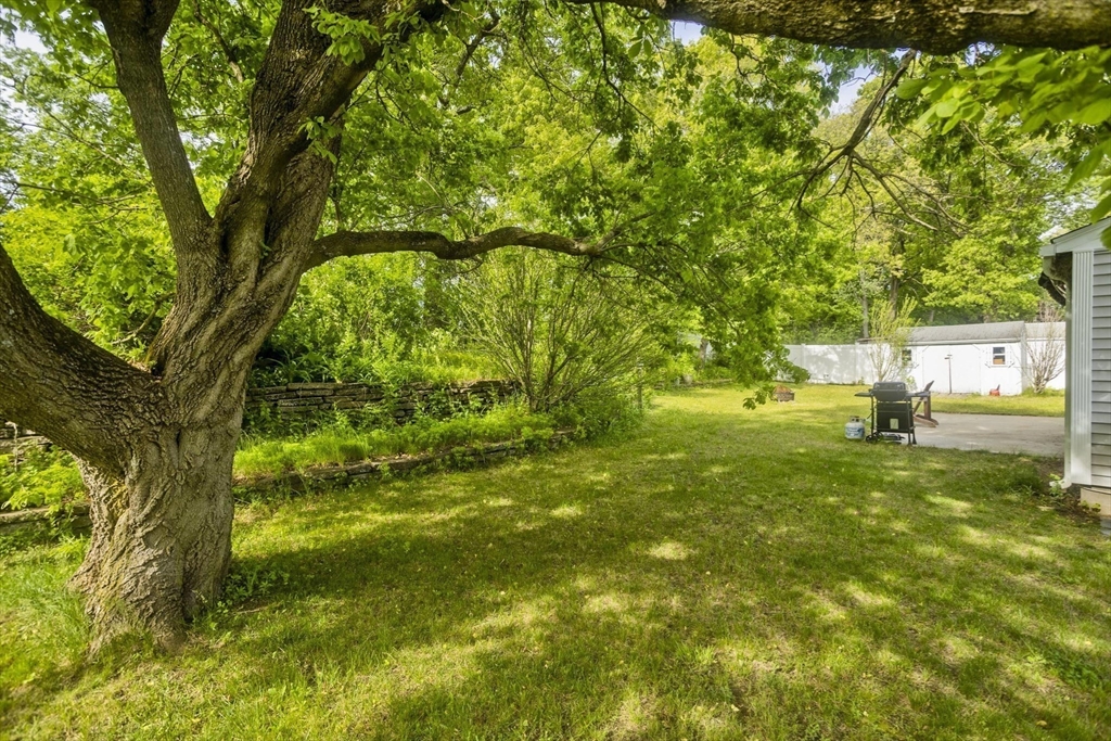 93 Moss Road Springfield, MA 01119 - Photo 40 of 40