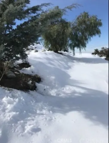 a view of a large yard with trees in the background