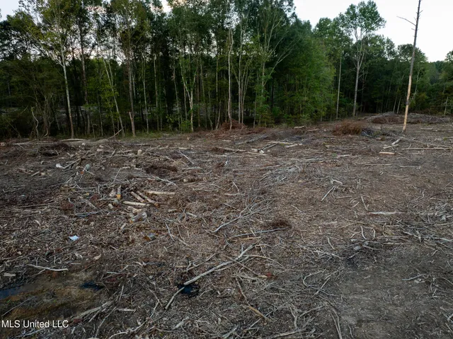 $89,000 | Ashley Road, Brandon, MS 39042