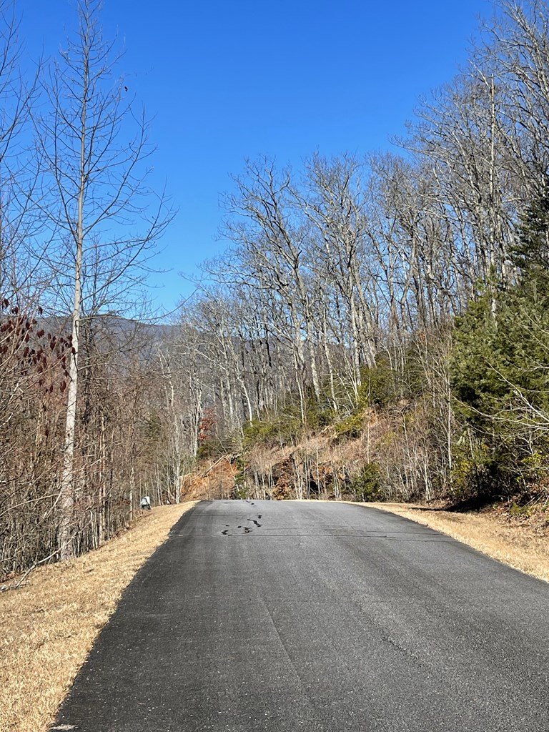 Lot 29 Ash Branch Road Hayesville, NC 28904 - Photo 4 of 5
