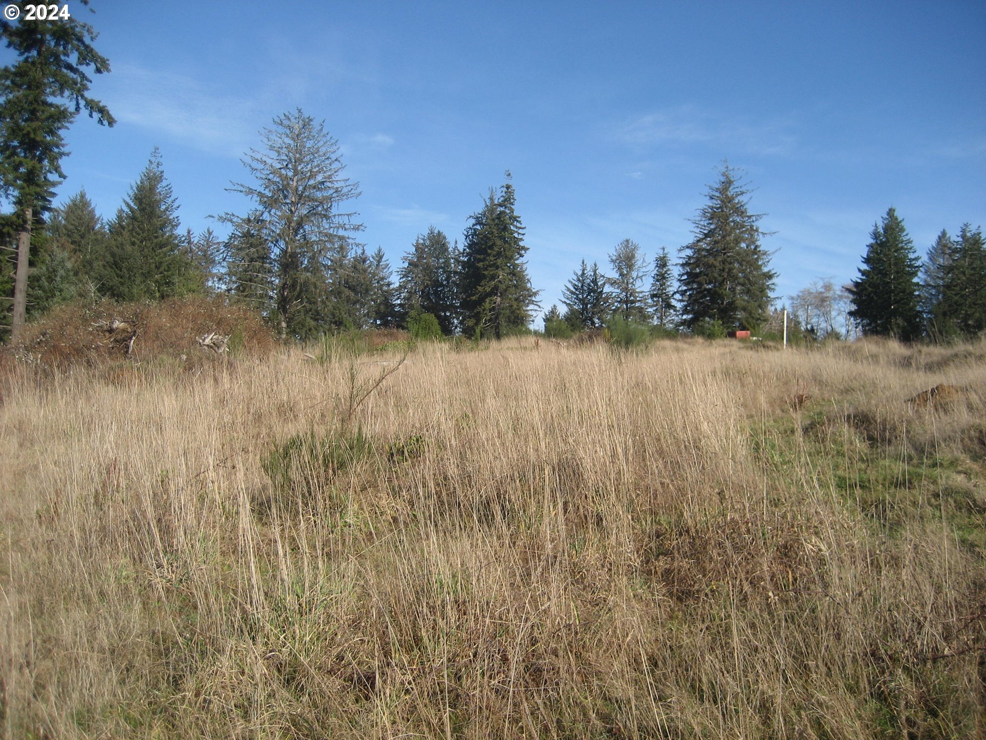 83615 Clear Lake Road Florence, OR 97439 - Photo 9 of 29