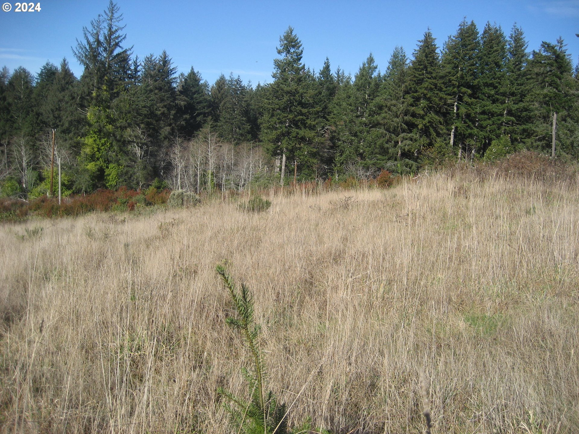 83615 Clear Lake Road Florence, OR 97439 - Photo 10 of 29