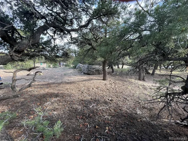 a view of dirt yard with a tree