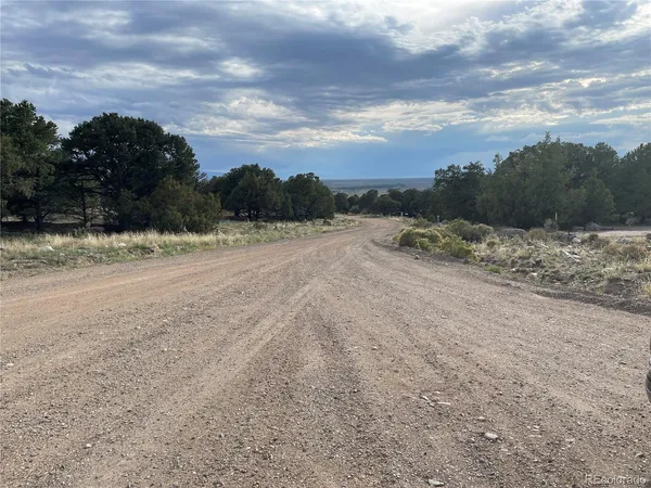 a view of dirt road with large trees